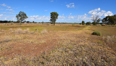 Picture of 236 Kelvin Road, GUNNEDAH NSW 2380