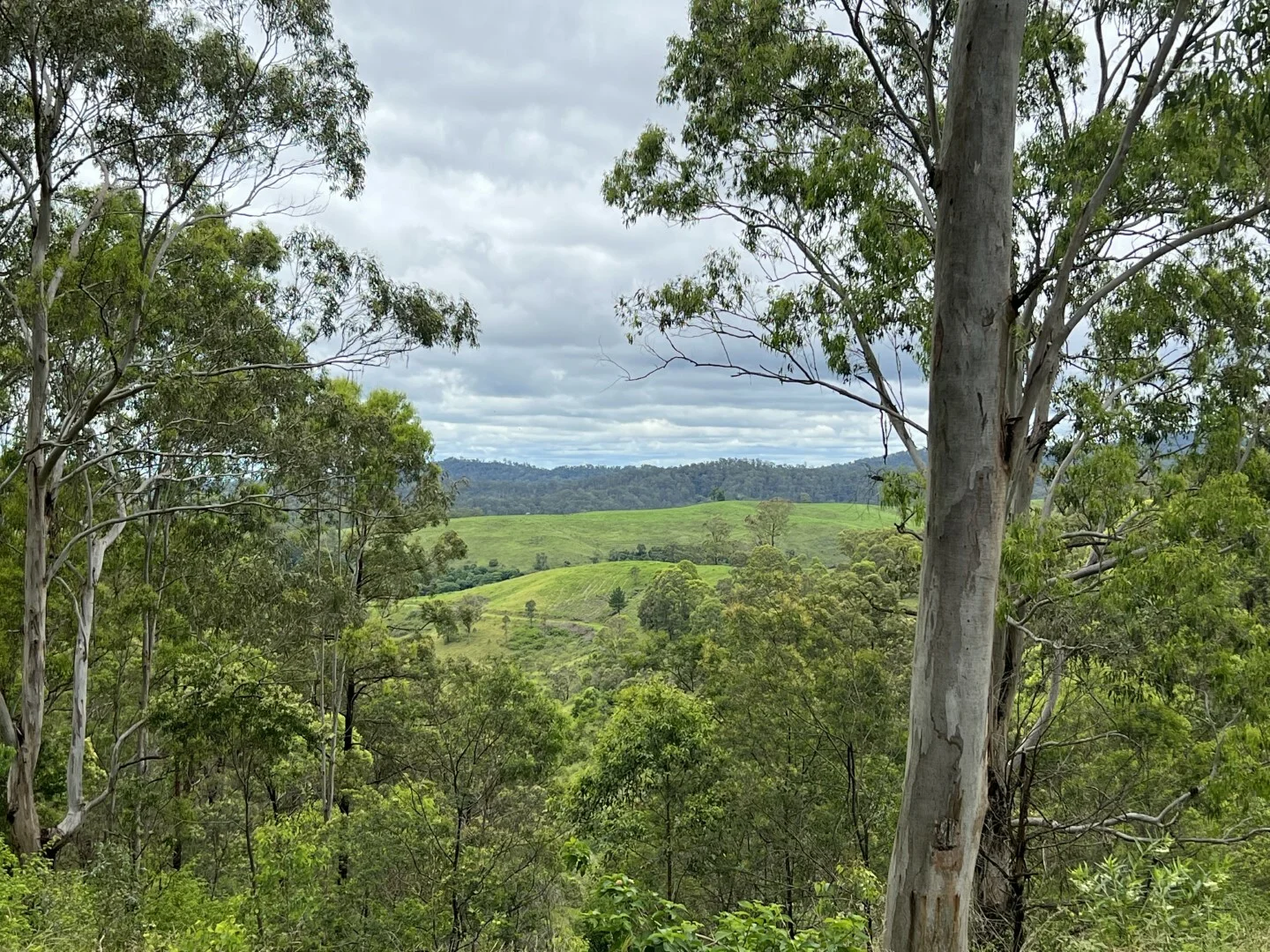 Image 25
