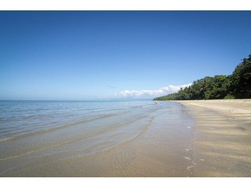 8 Kadan Close, Wonga Beach QLD 4873, Image 2