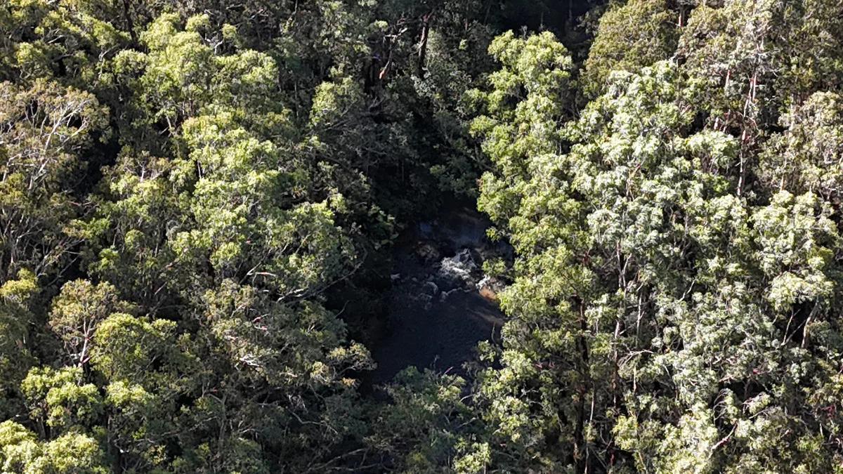 Image 9