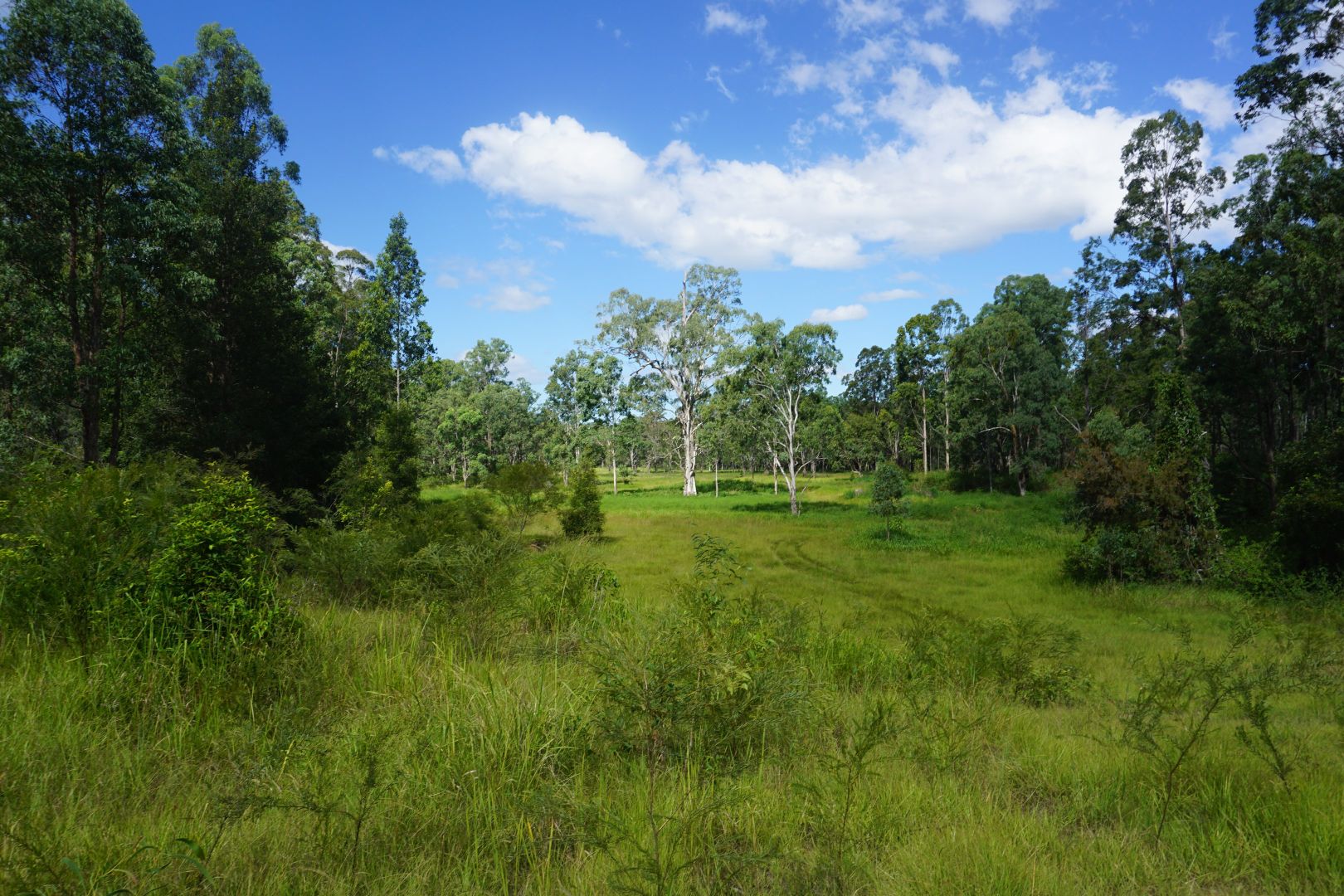 308 Ramornie station Road, Ramornie NSW 2460, Image 1