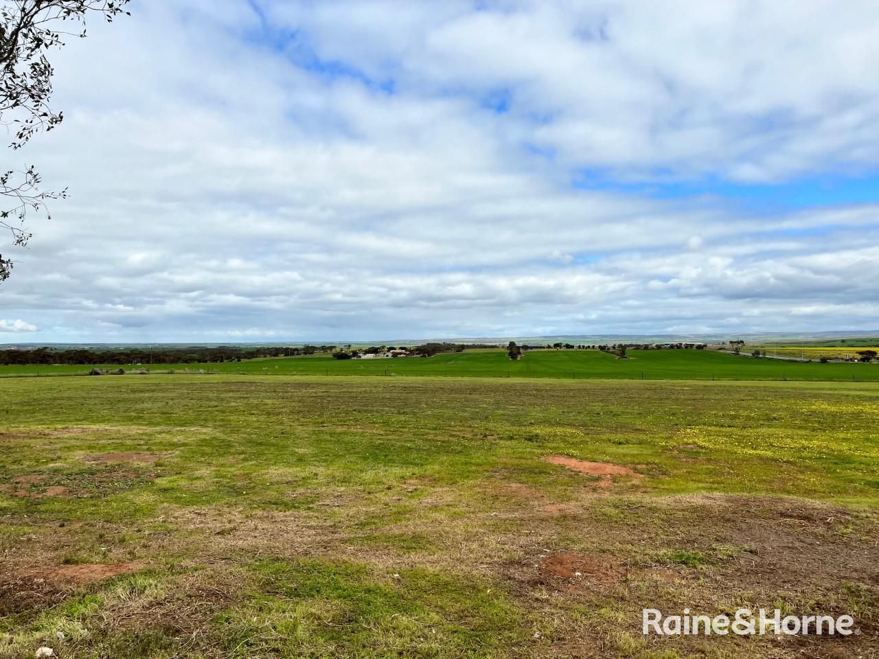 Vacant land in 2980 Randell Road, MANNUM SA, 5238