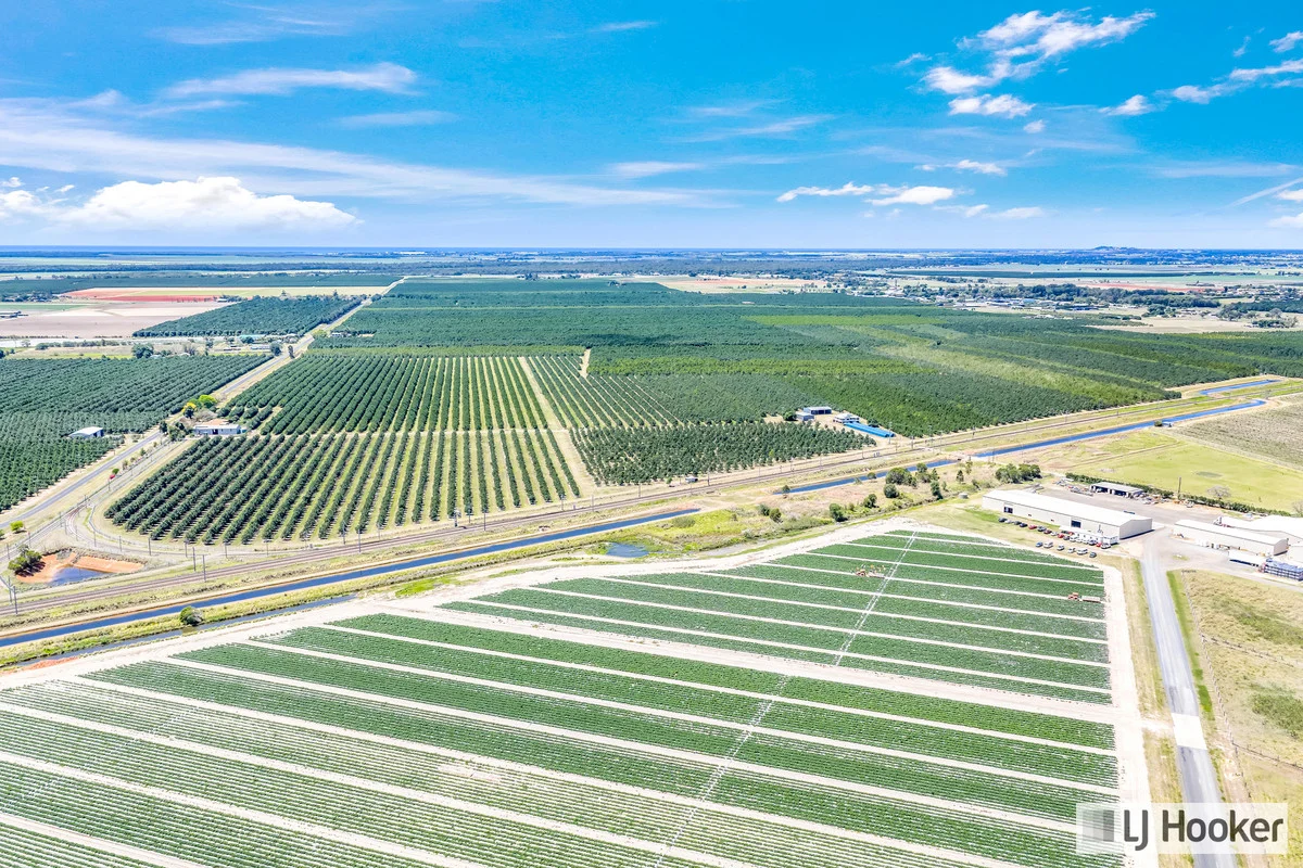 Additional image 17 of Meadowvale QLD 4670