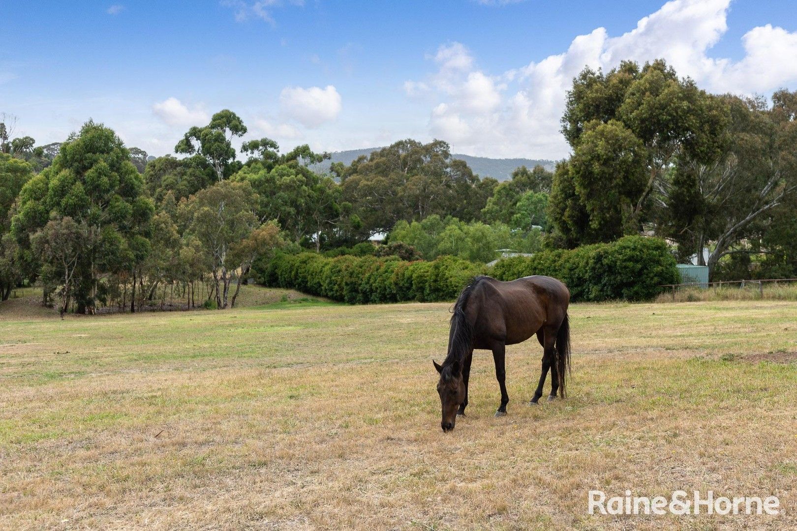 Lot 702/40 Henry Road, Littlehampton SA 5250, Image 0