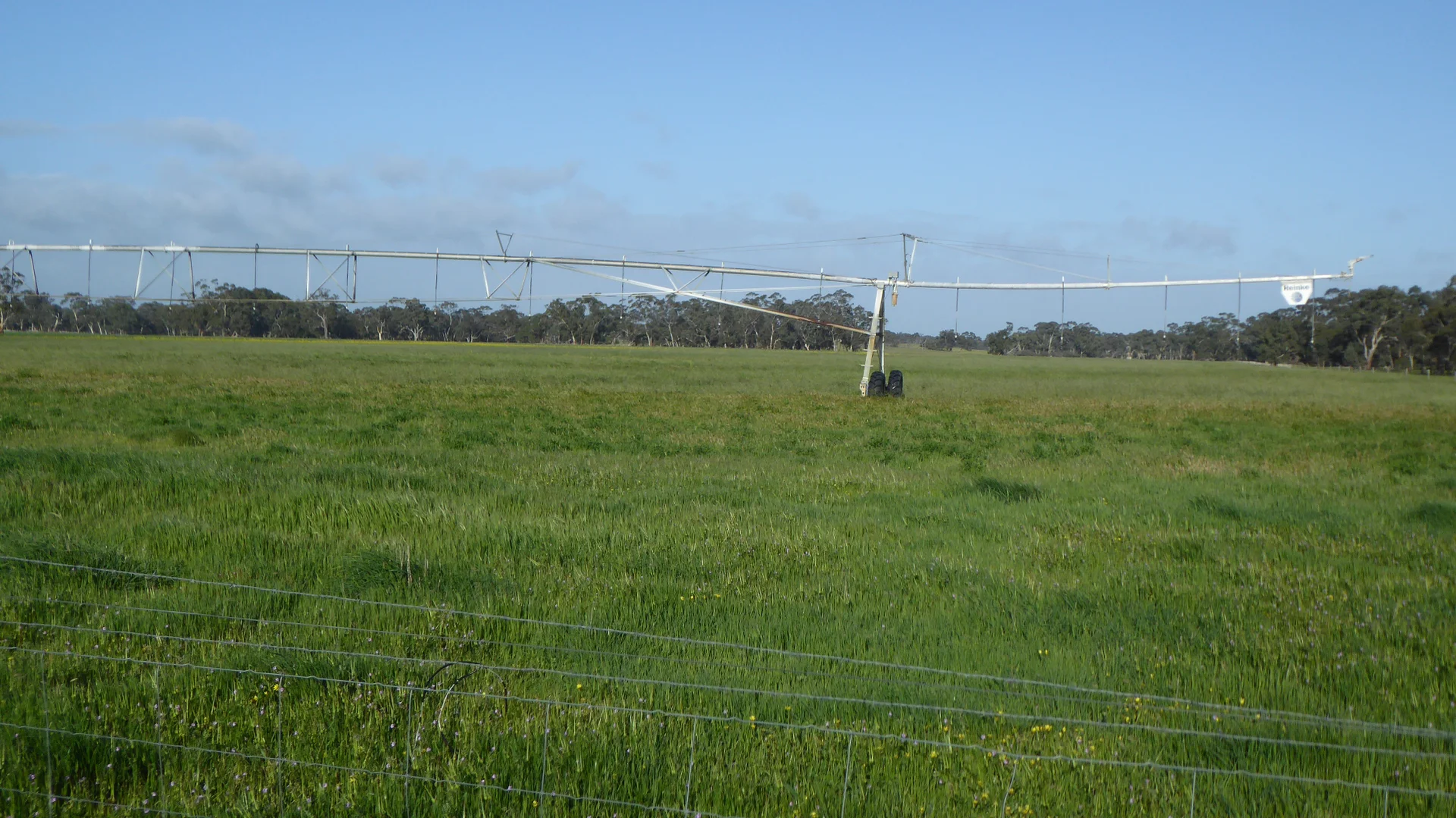 Image 16