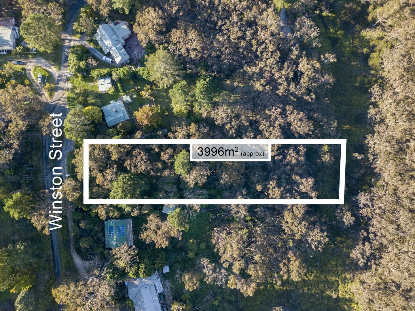 31 Winston Street, Leura NSW 2780, Image 0