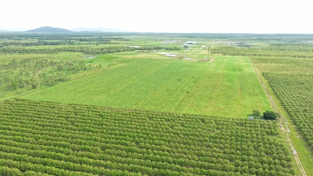 Additional image 22 of 3 Comiskey Road, Giru QLD 4809