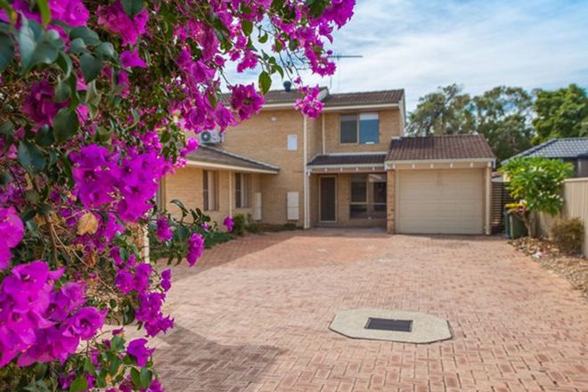 Picture of 3/382 Lennard Street, DIANELLA WA 6059