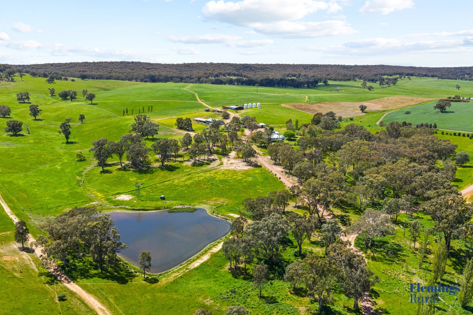 105 Peakview Road, Young NSW 2594