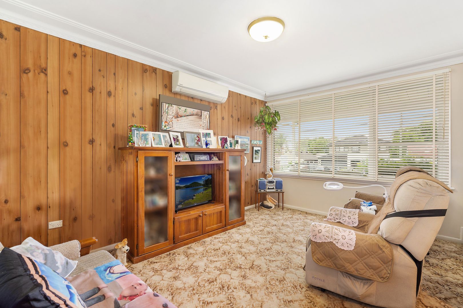 205 Meadows Road, Mount Pritchard NSW 2170, Image 2