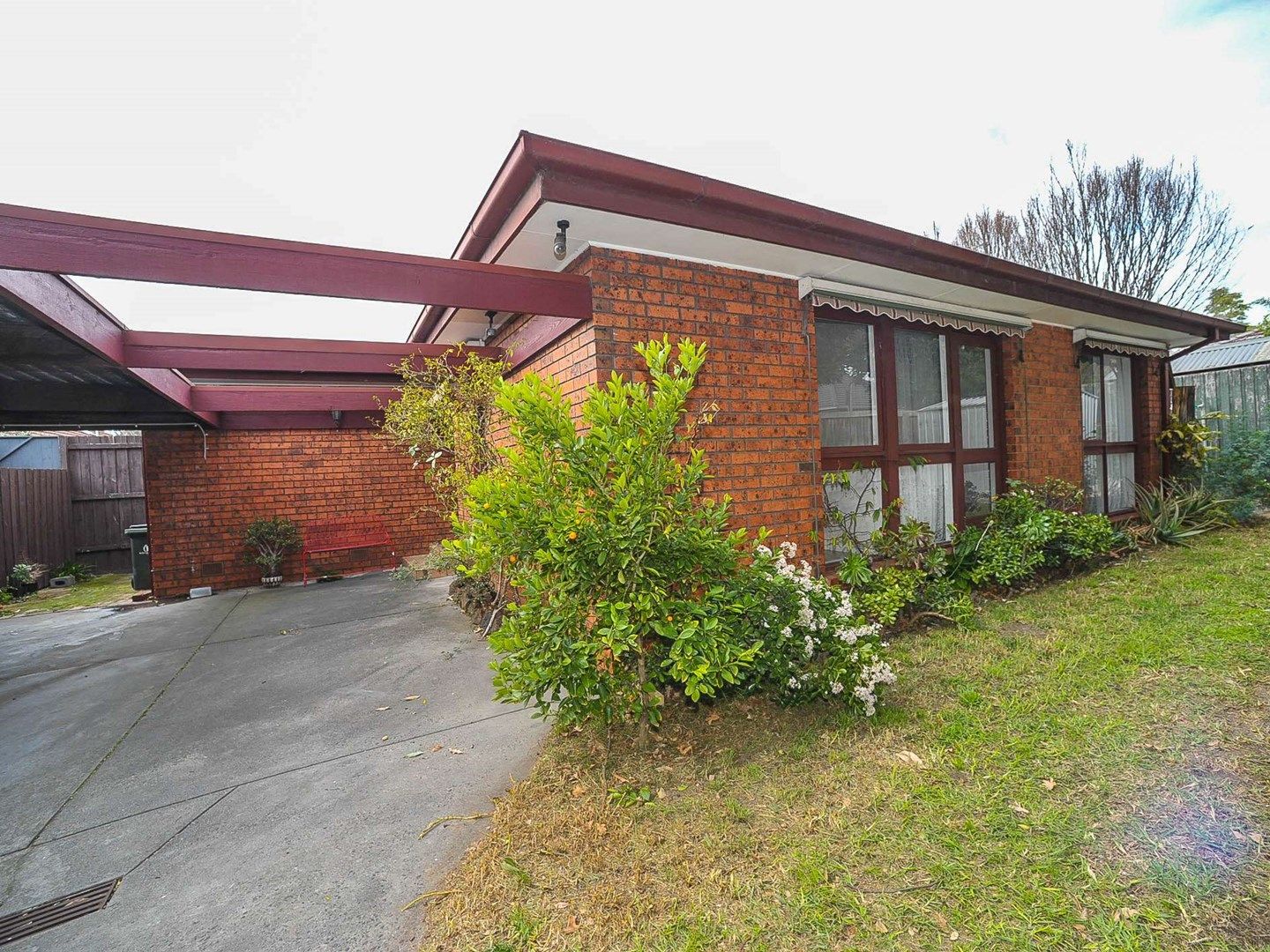 11 Arlington Street, Camberwell VIC 3124, Image 0