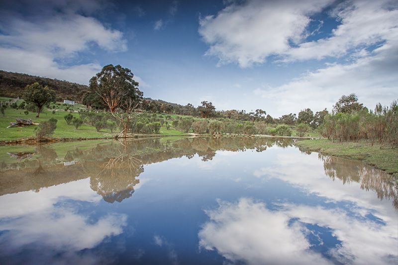 Toolern Vale VIC 3337 House for Sale 1.75 Domain