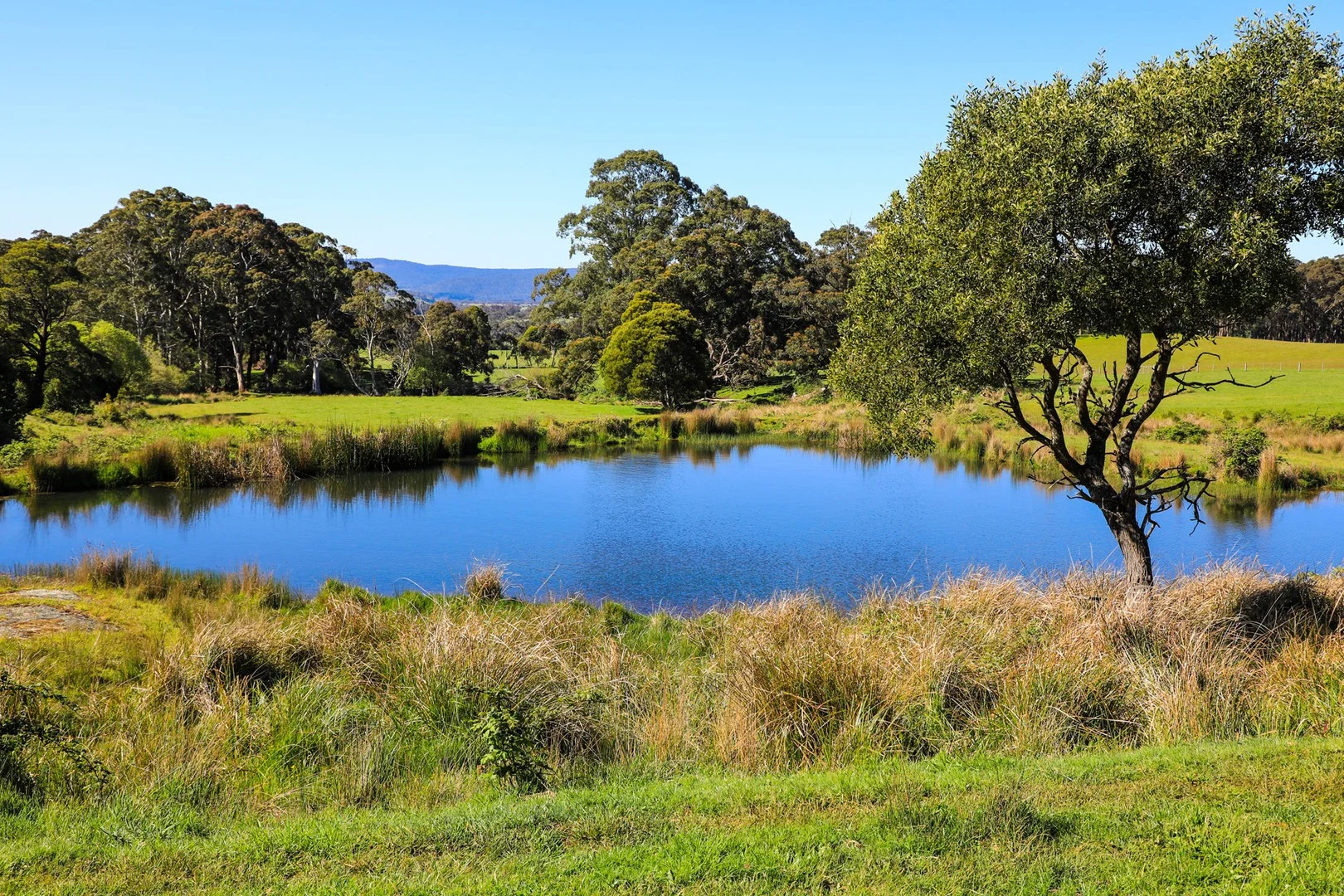 Primary image of Cnr Straws Lane & Falls Road, Hesket VIC 3442