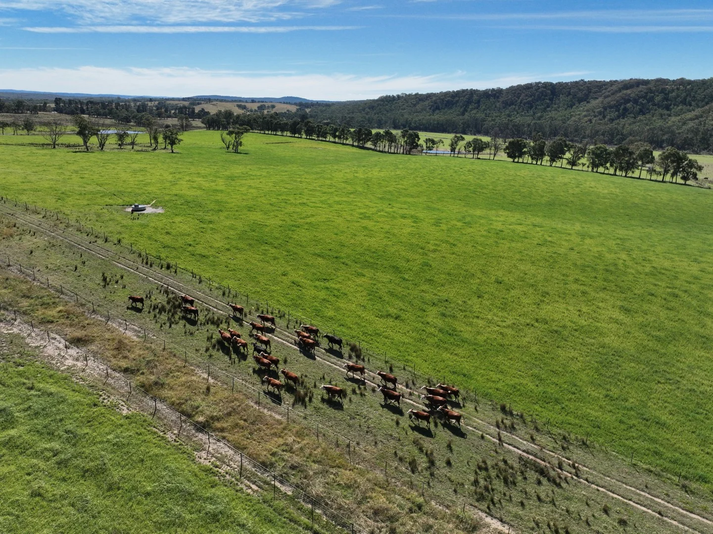 710 Inverary Road, Paddys River NSW 2577