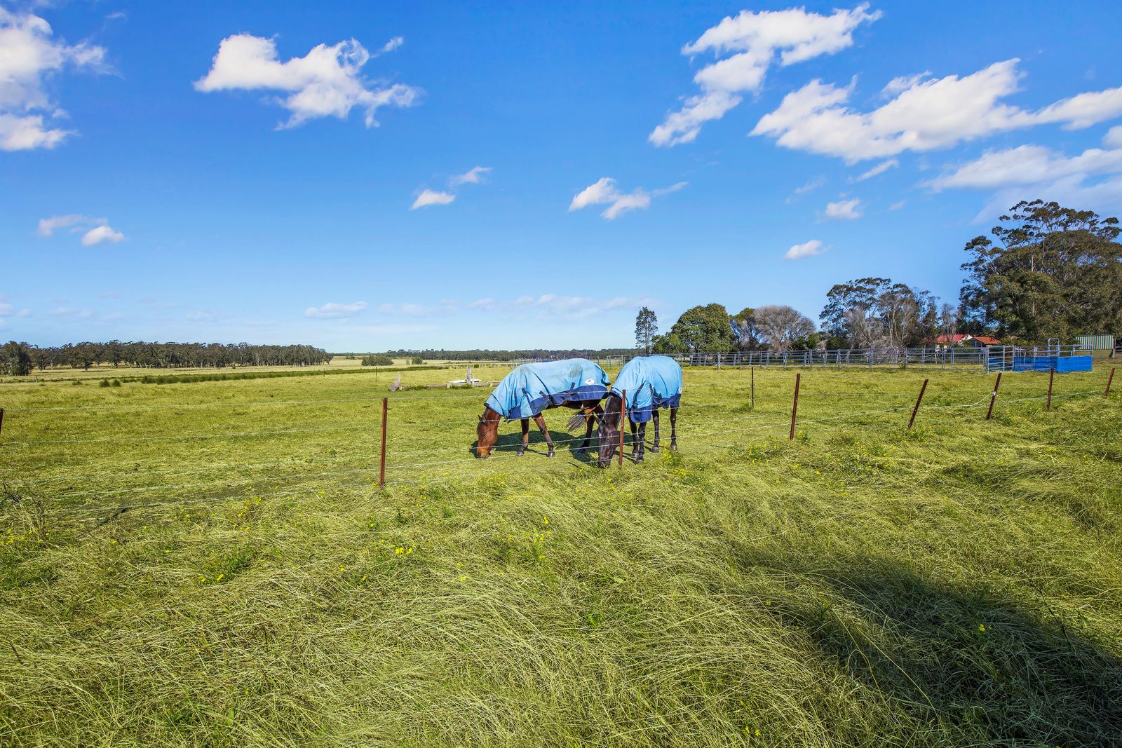 Lochinvar NSW 2321, Image 2