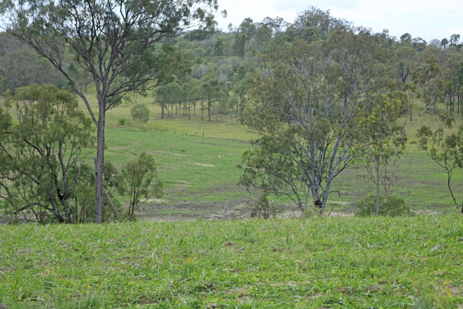 Mount Perry QLD 4671, Image 1