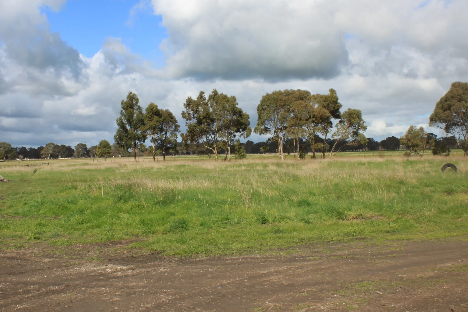 Image 8