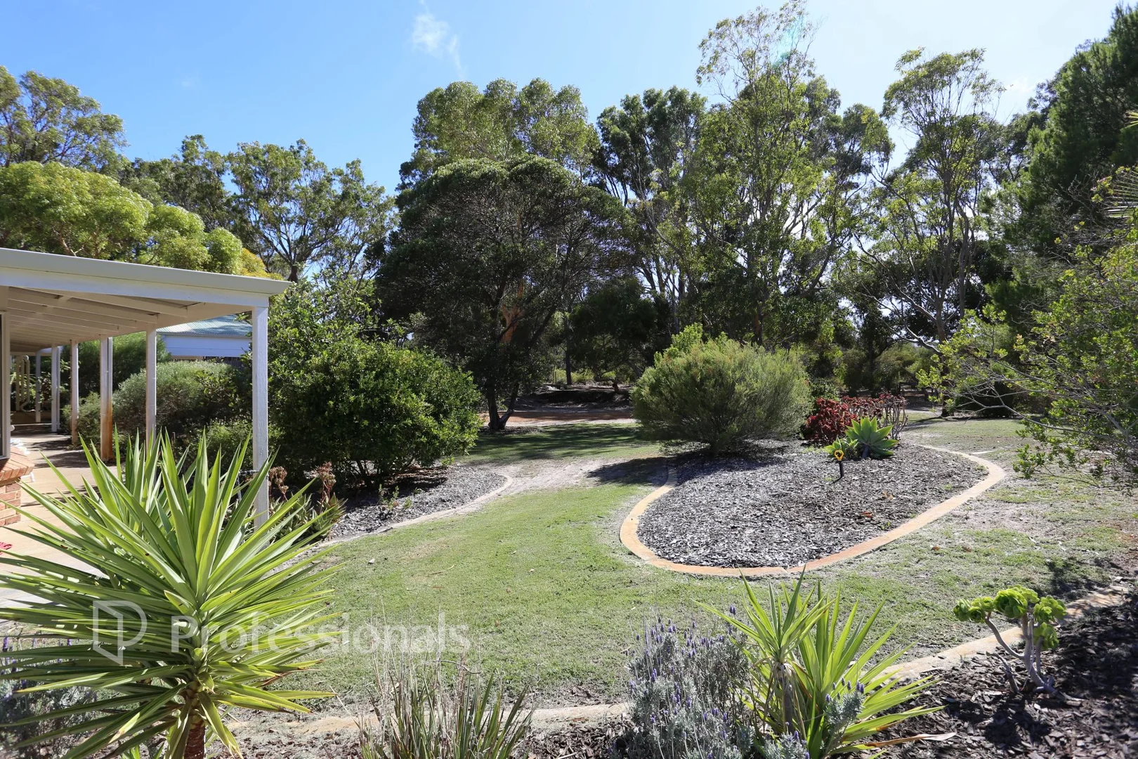 Image 12