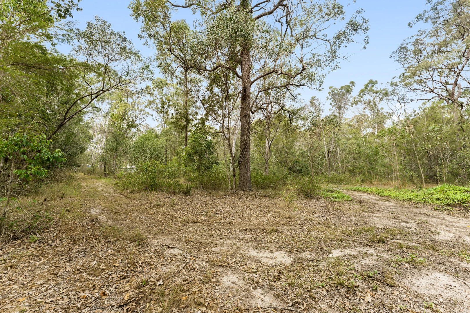 Image 26
