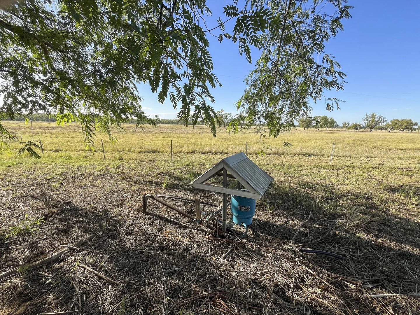 Image 17