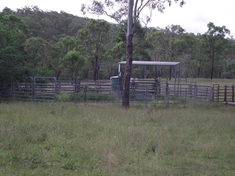 Tansey QLD 4601, Image 0