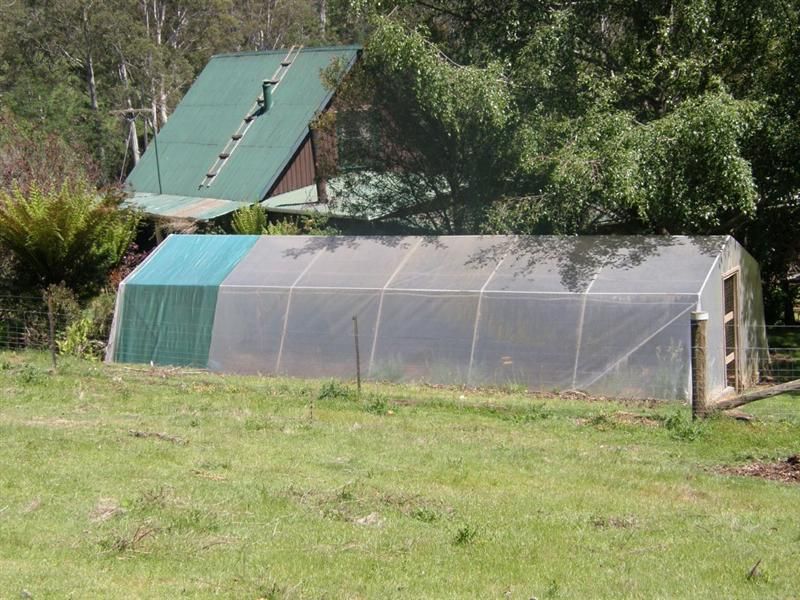 11 Maurice Road, Talawa TAS 7263, Image 2