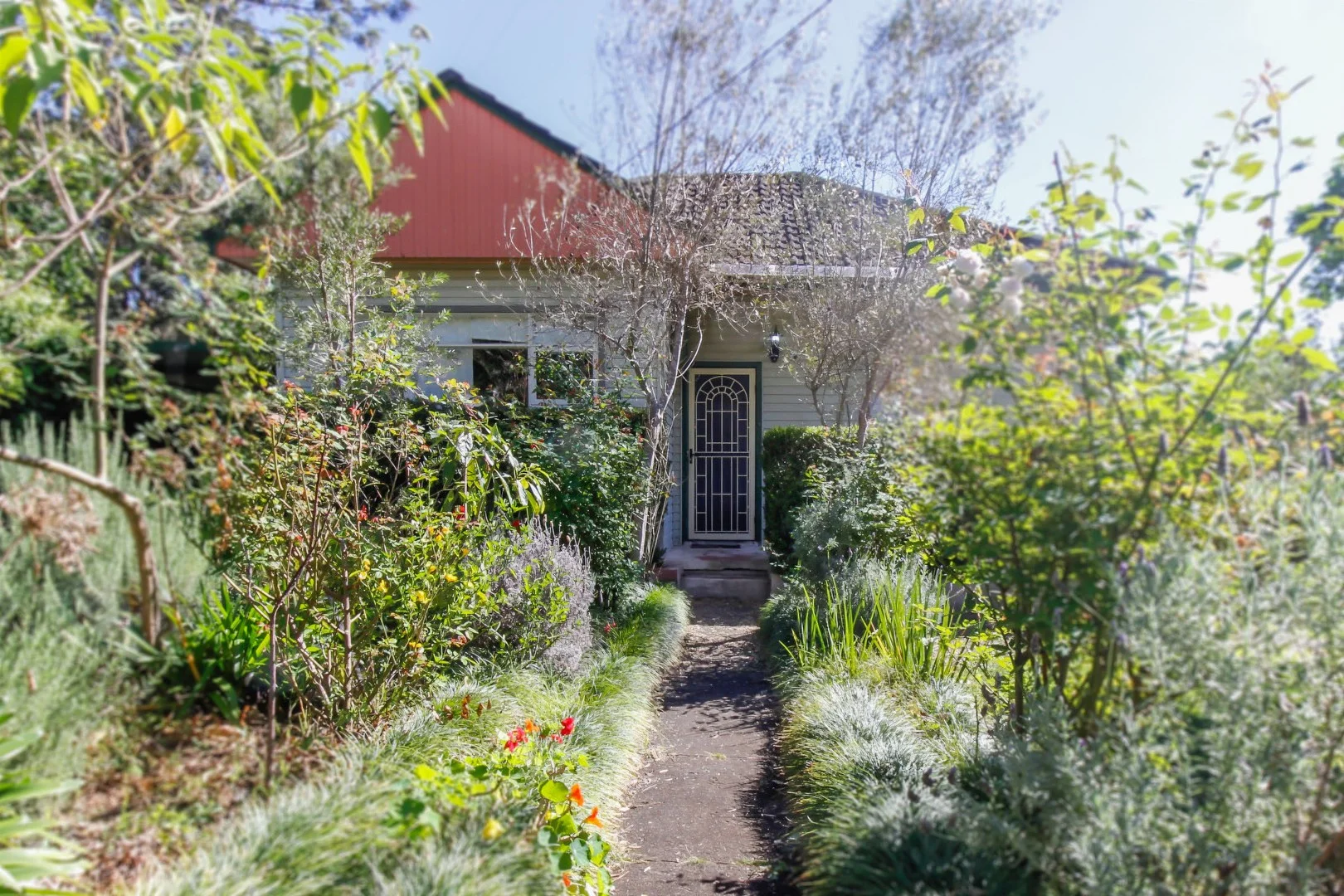 Primary image of 20 Forbes Street, Hornsby NSW 2077
