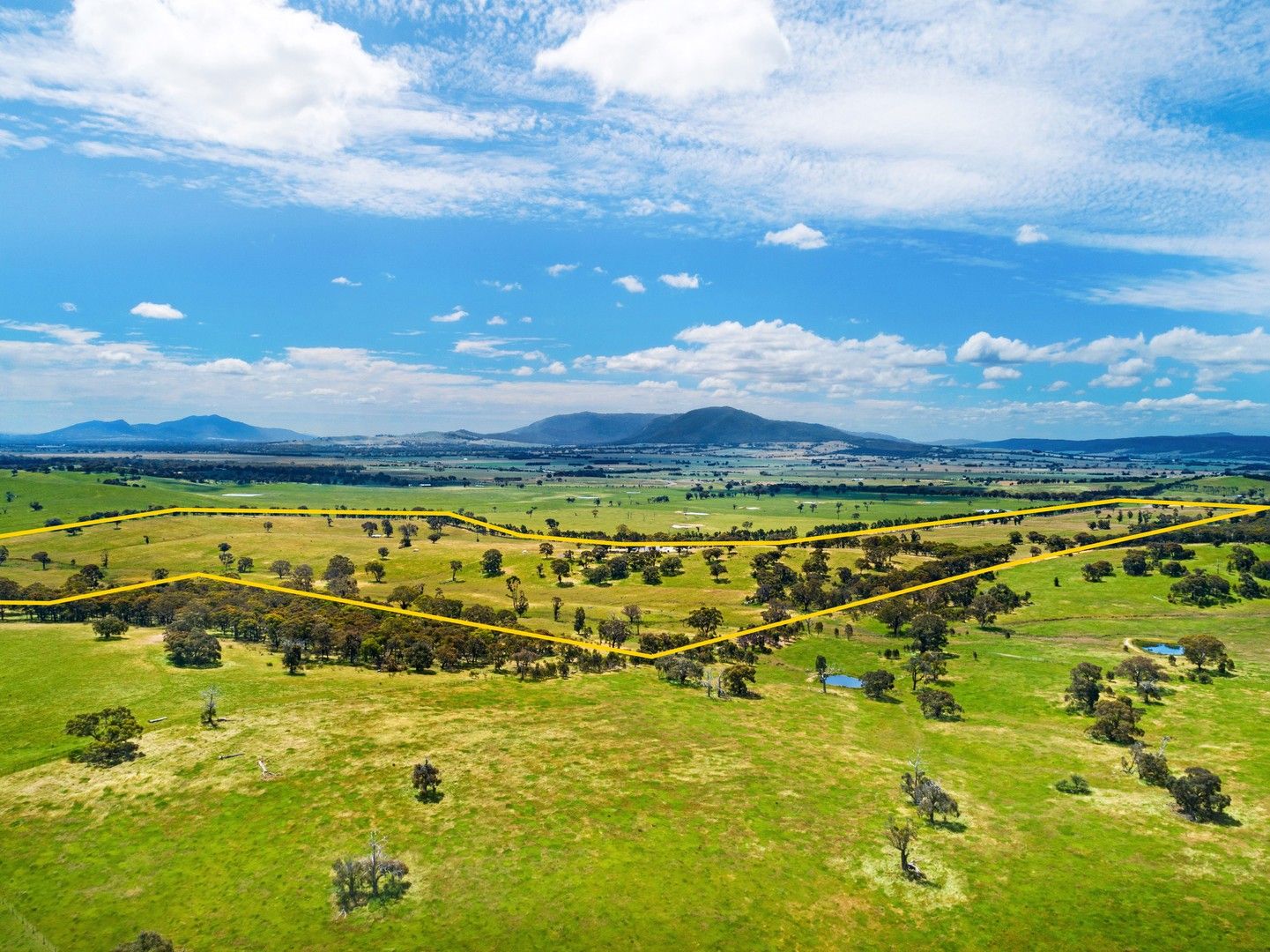 210 Box Cutting Rise, Beaufort VIC 3373 Farm for Sale Domain