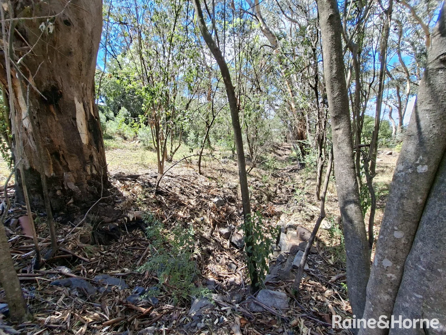 Additional image 7 of 70-76 Goddard Street, Coolah NSW 2843