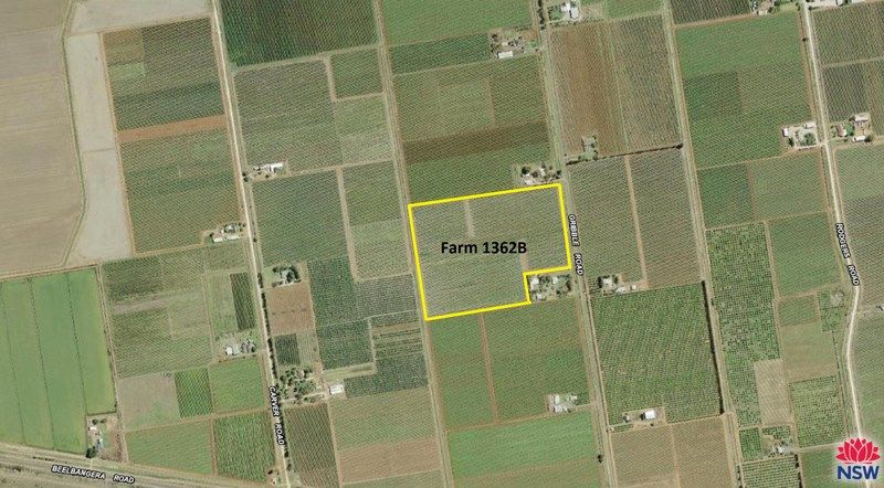 Farms 1367A andamp; 1362B, YENDA NSW 2681, Image 1