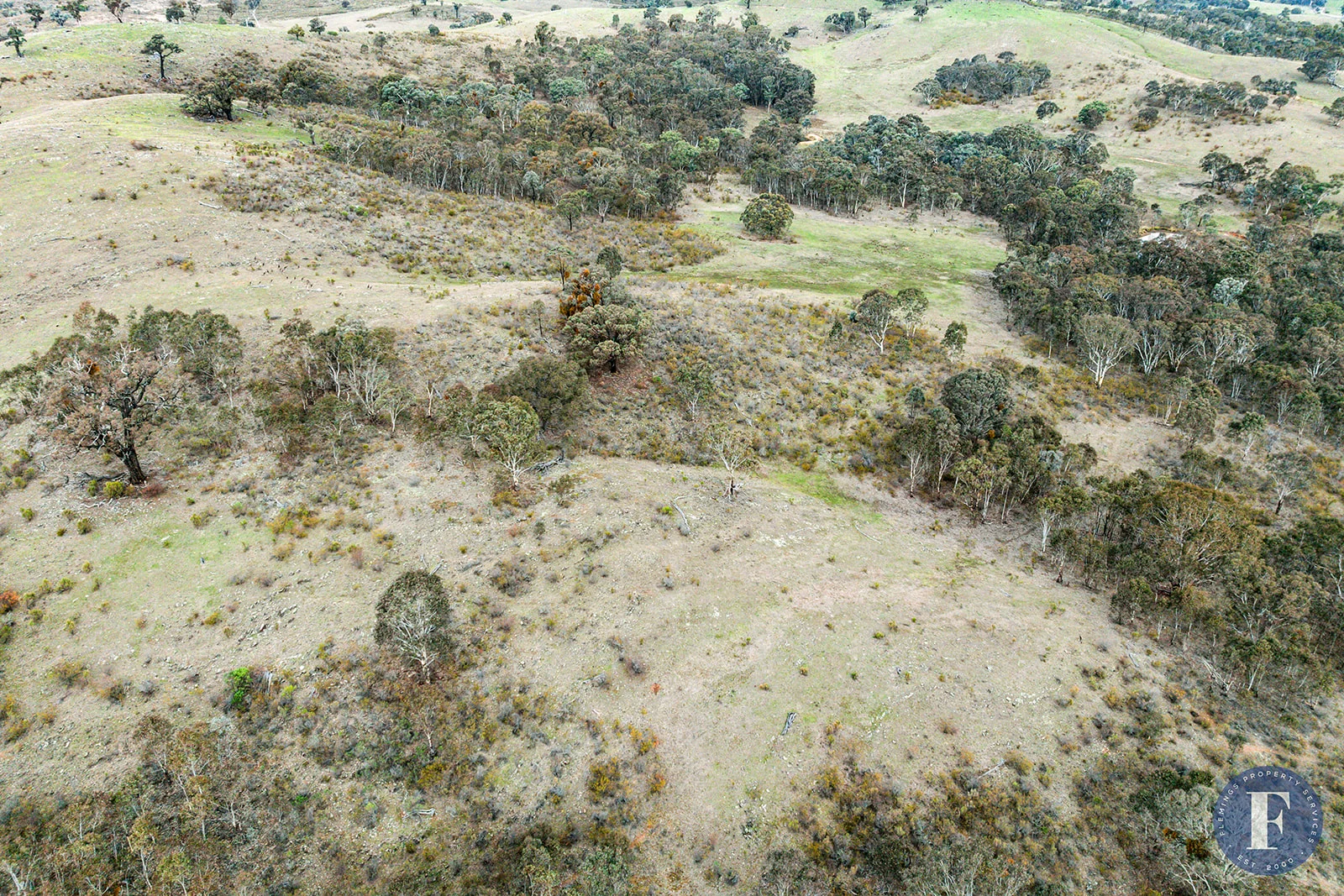 Image 15