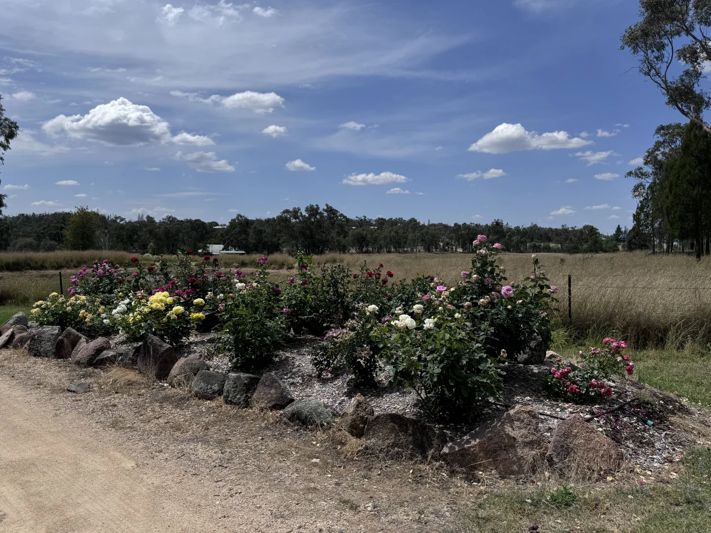 Image 30