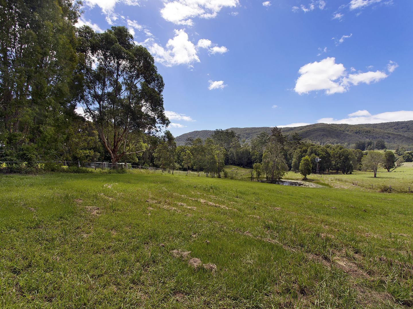 1244 Bucca Road, Bucca NSW 2450, Image 1