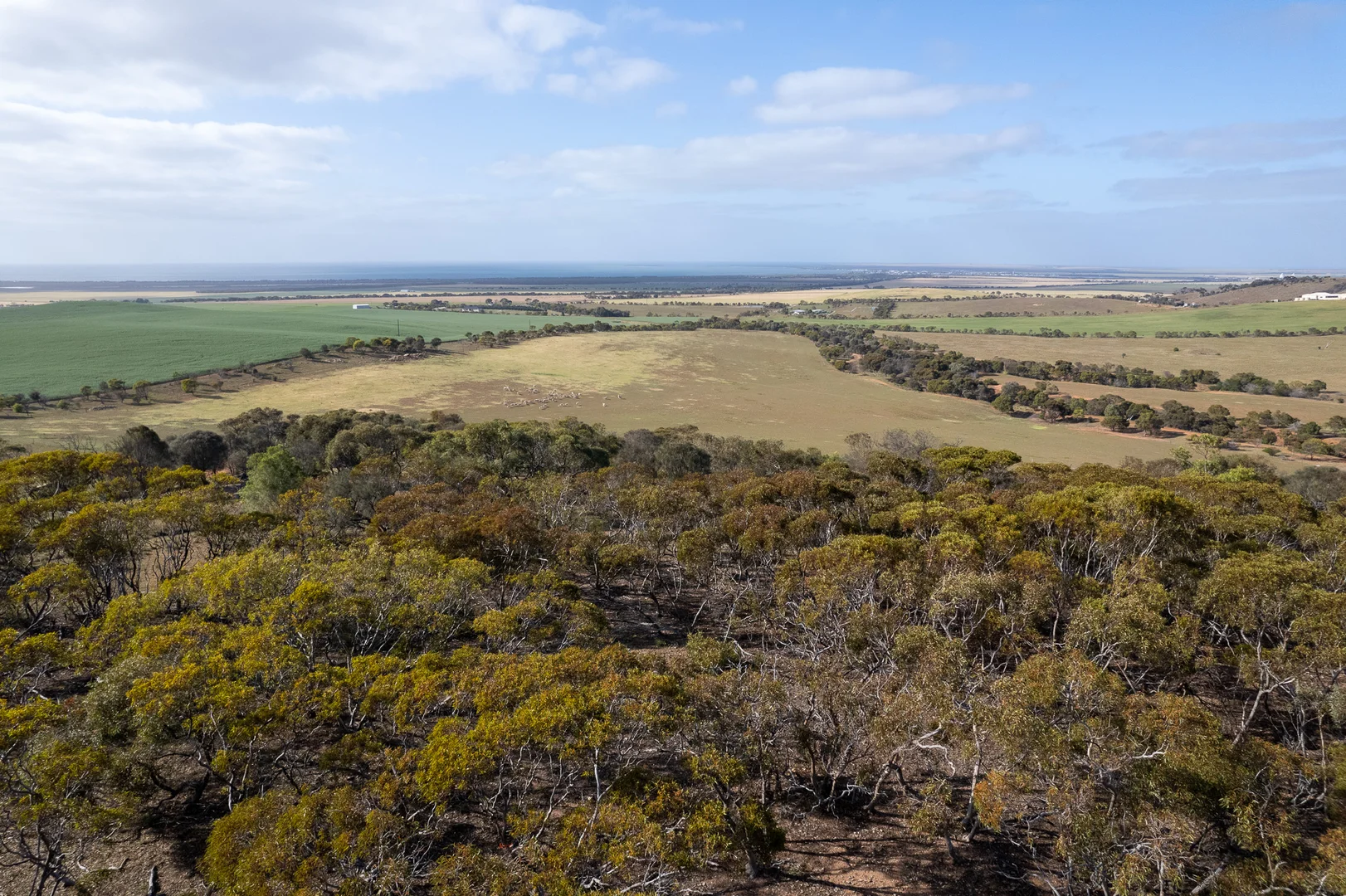 Image 15