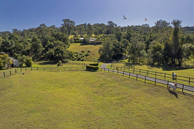 43 Shaws Pocket Road, Luscombe QLD 4207, Image 2