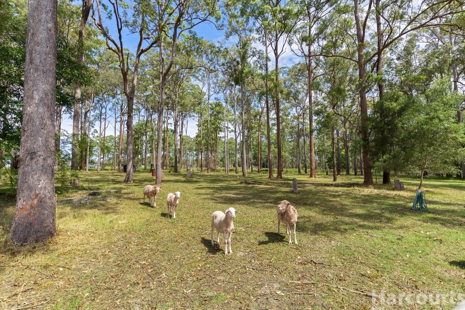 Additional image 20 of 6 Eucalypt Close, Aldavilla NSW 2440