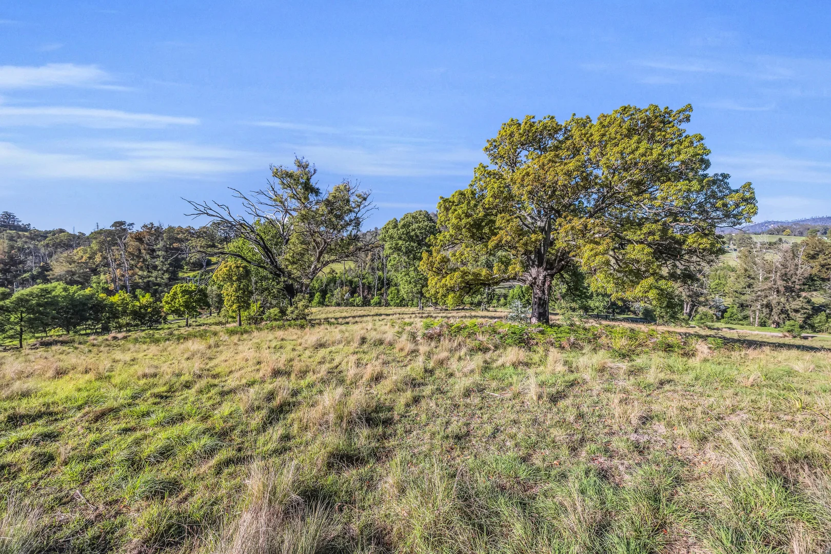 Additional image 8 of 718 Yowrie Road, Yowrie NSW 2550