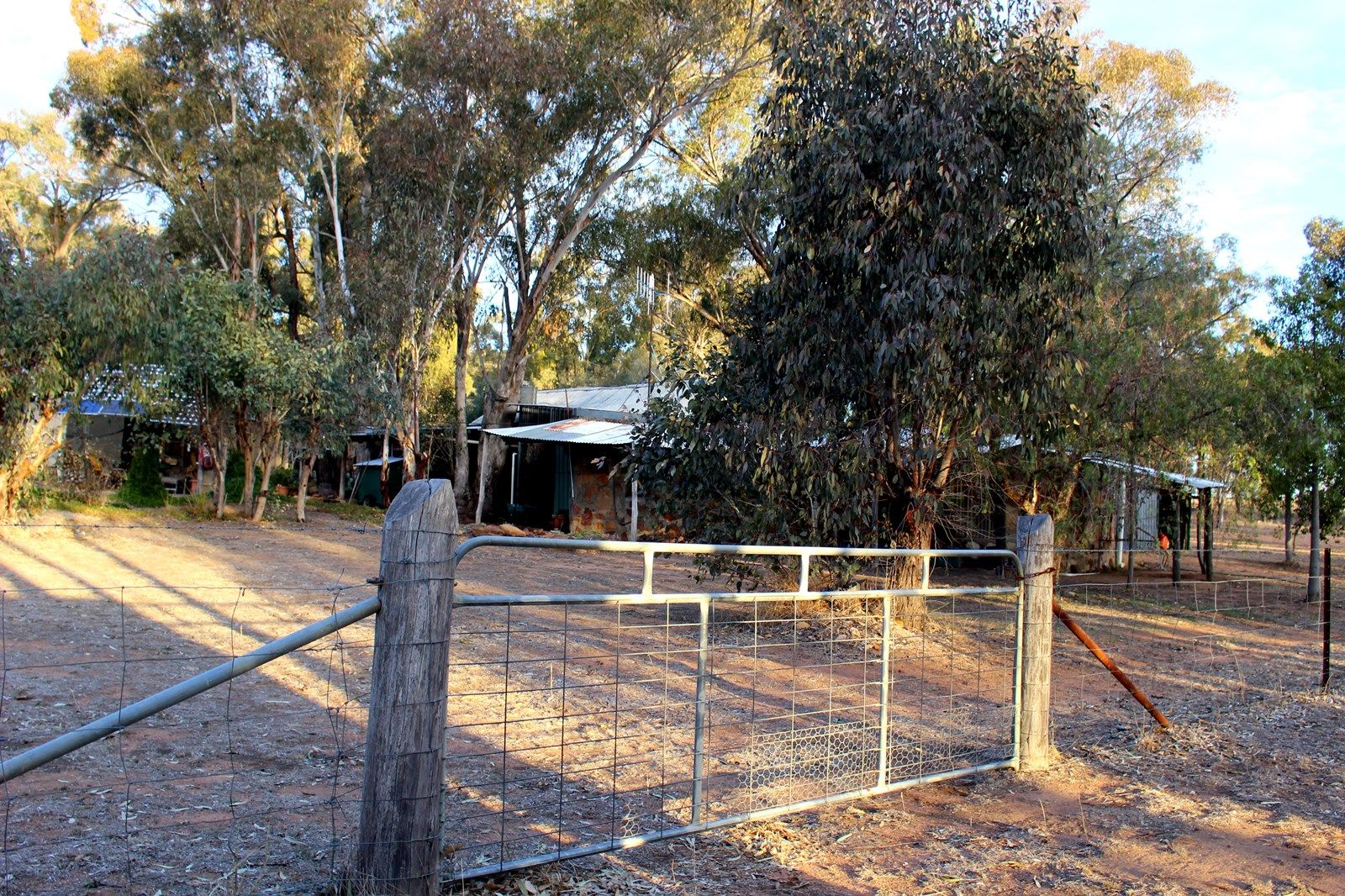 19L Spicers Creek Rd, Elong Elong NSW 2831, Image 2