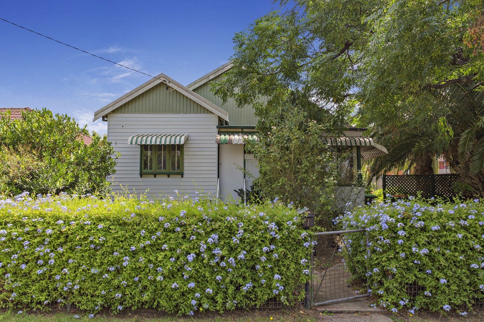 1 The Causeway, Strathfield South NSW 2136, Image 0