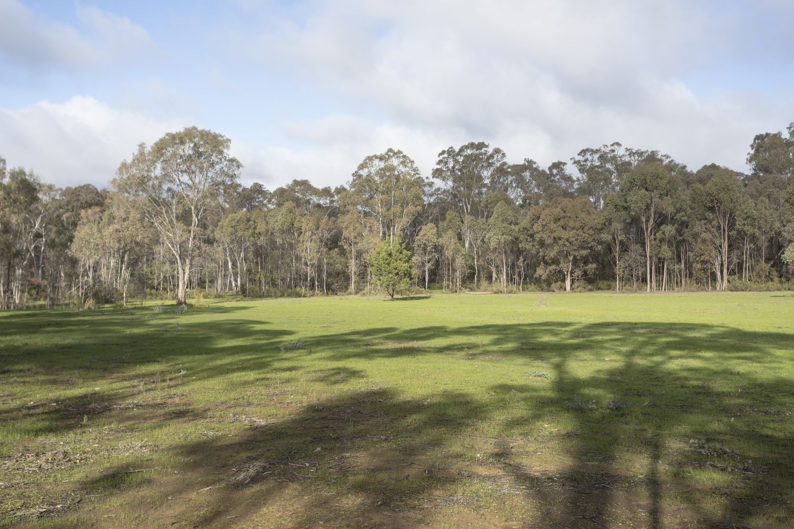 Lot 24 & Callinan Lane, Mandurang South VIC 3551, Image 2