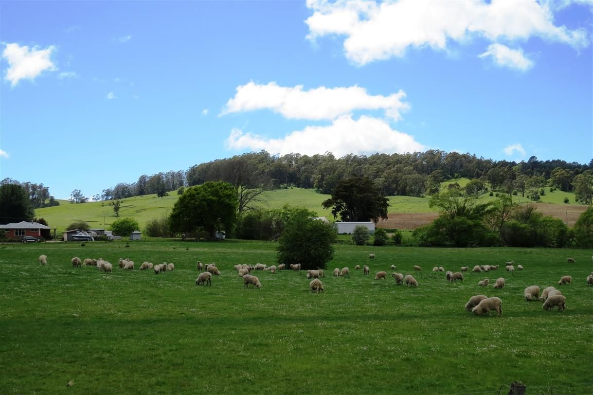 349 Claude Road, Sheffield TAS 7306 - House for Sale ...