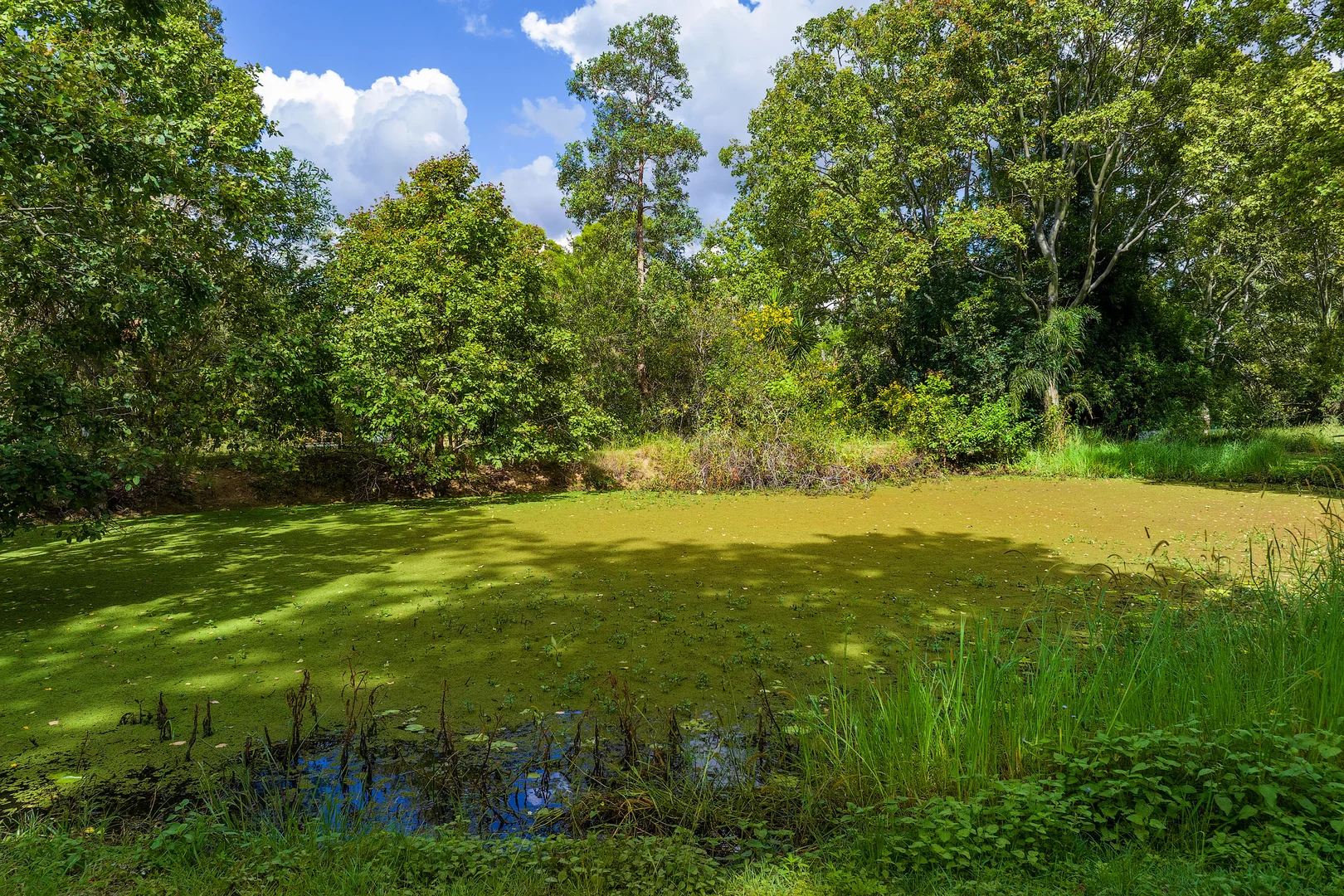 Additional image 5 of 22 Abbott Road, Glenwood QLD 4570