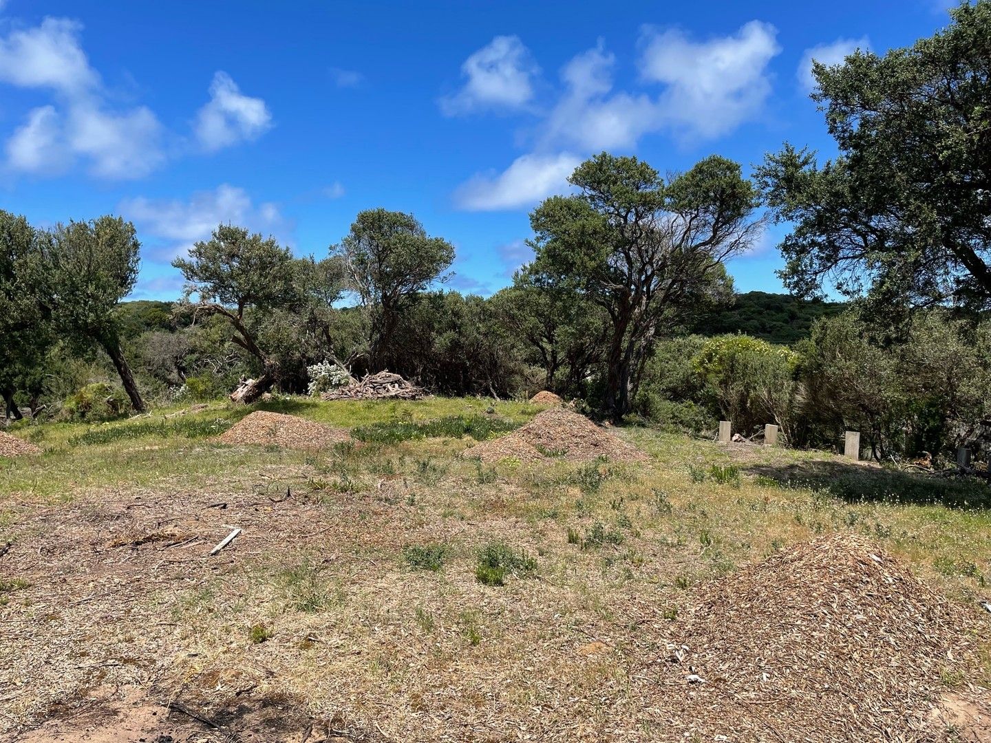 Vacant land in 15 Mcindoe Avenue, VENUS BAY VIC, 3956