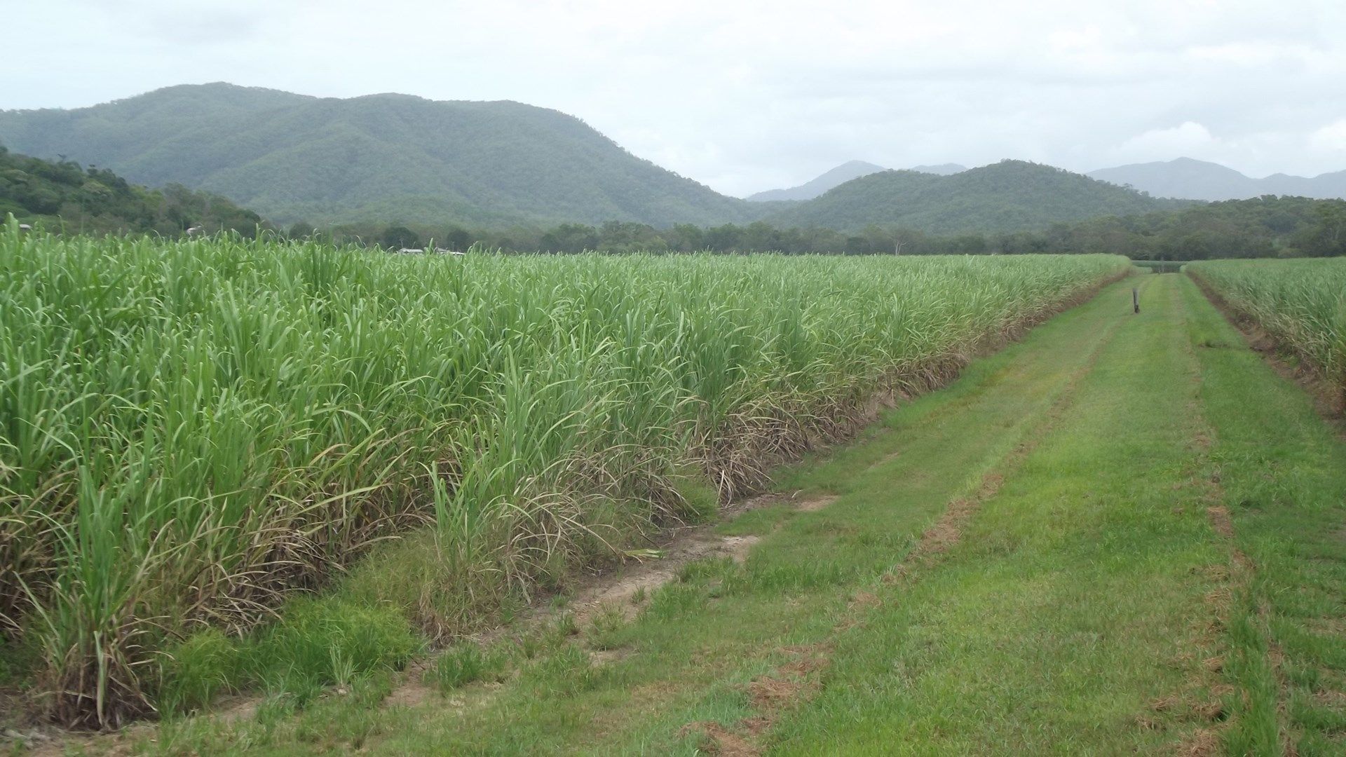 Sunnyside QLD 4737, Image 0