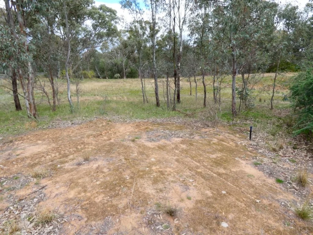 Image 12