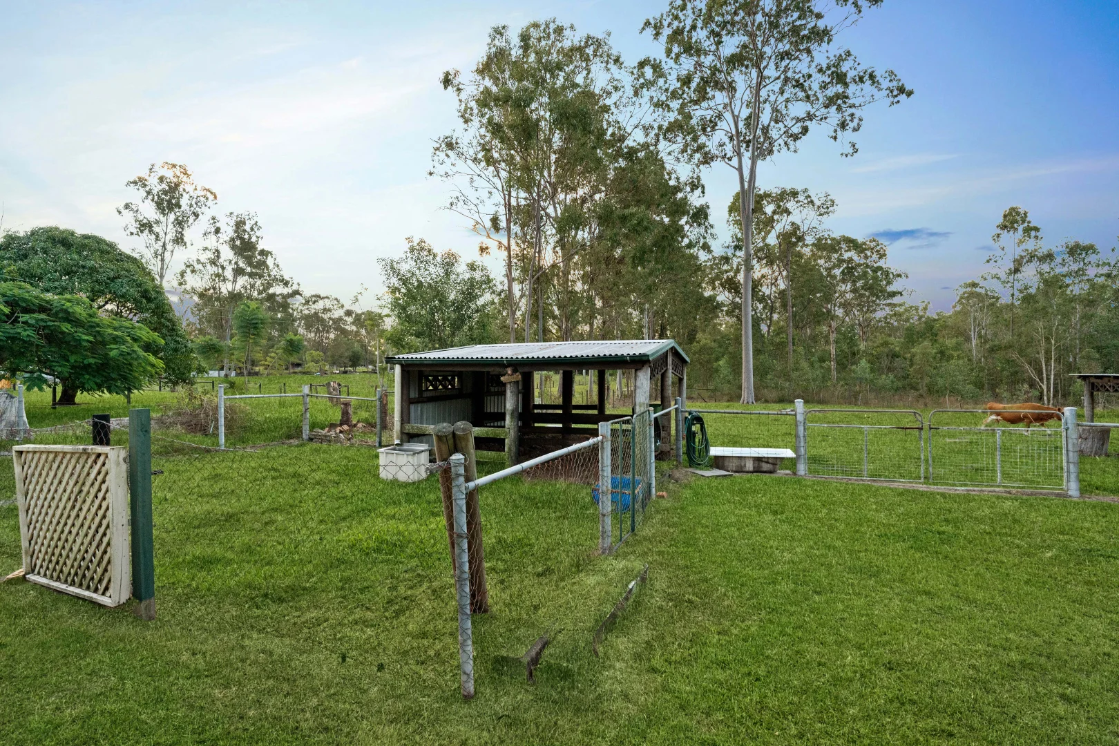 Image 25