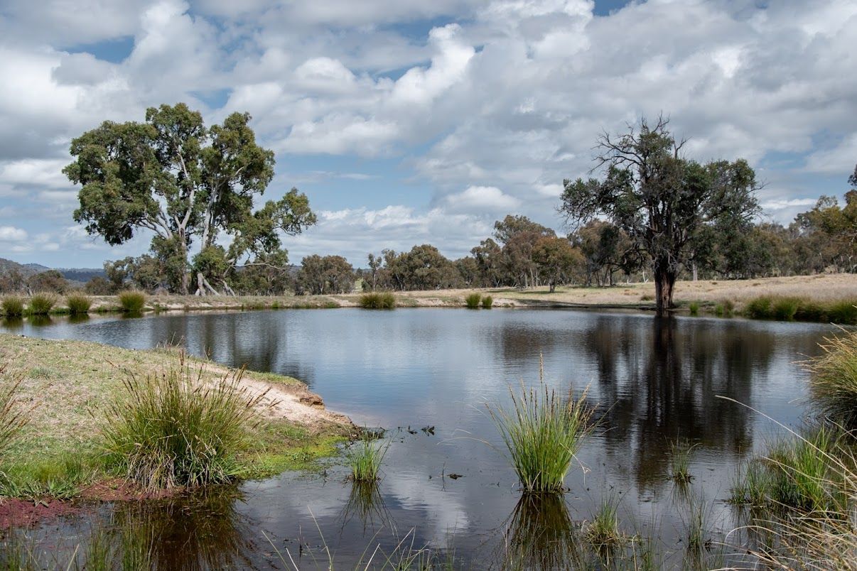 38 GREEN VALLEY ROAD, Bendemeer NSW 2355, Image 0