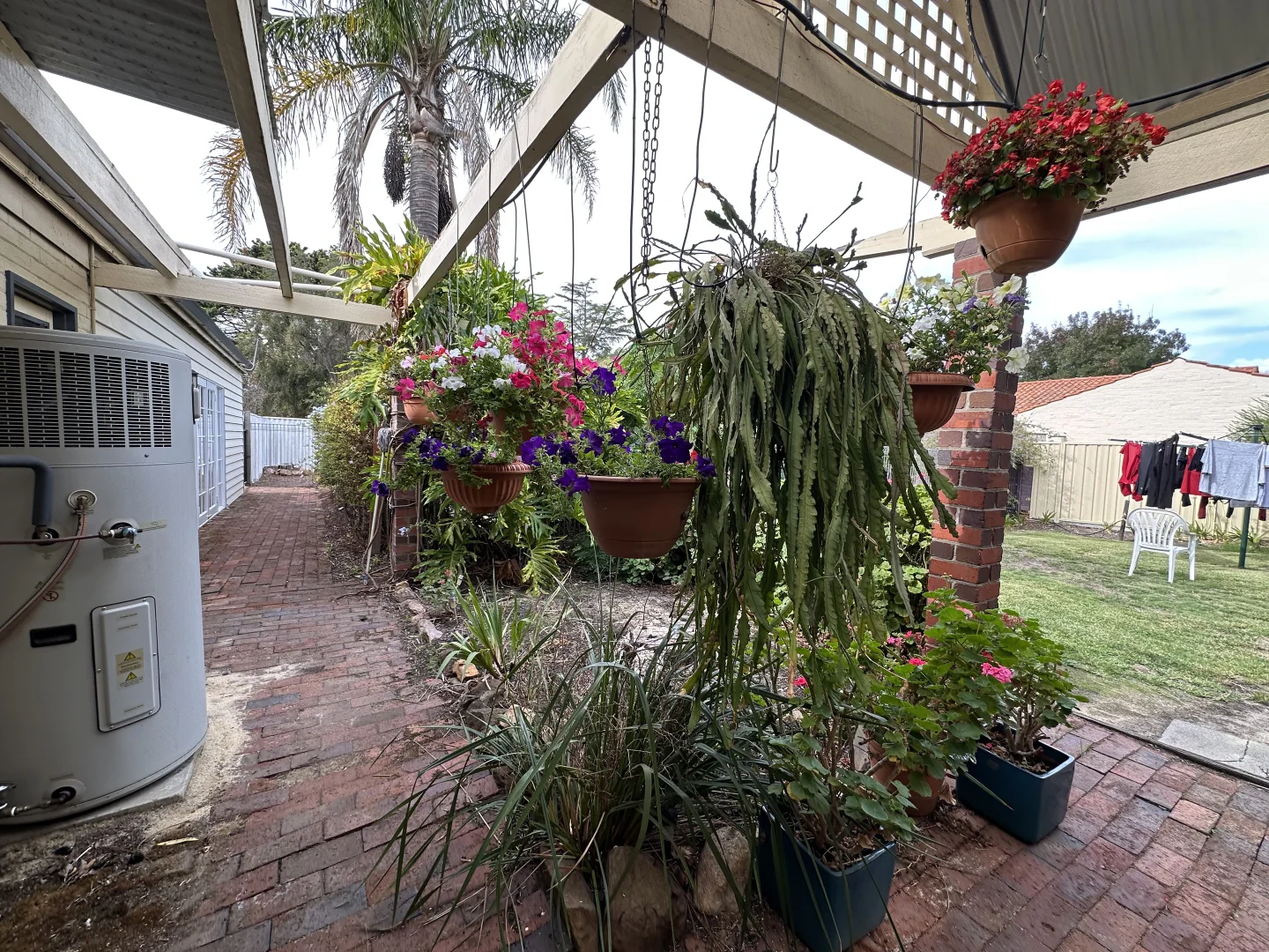 Additional image 32 of 4 Clive Street, Katanning WA 6317