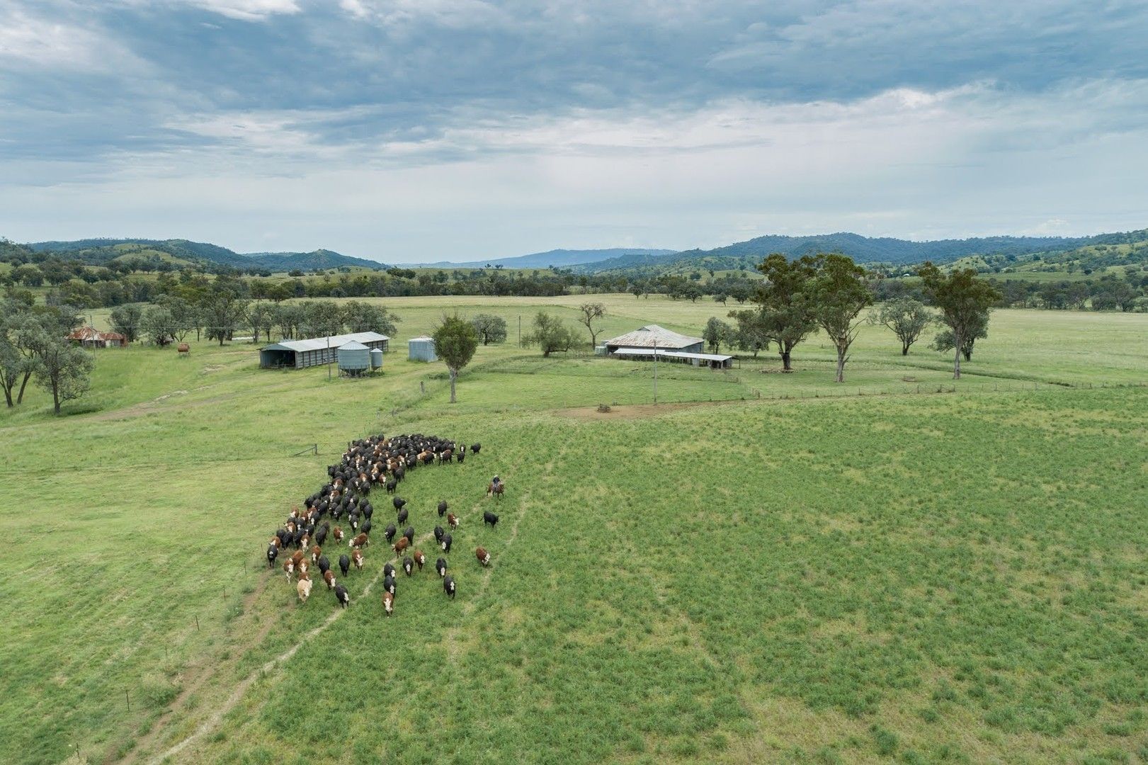 Bereen & Bereen West Bereen Road, Upper Horton NSW 2347, Image 0