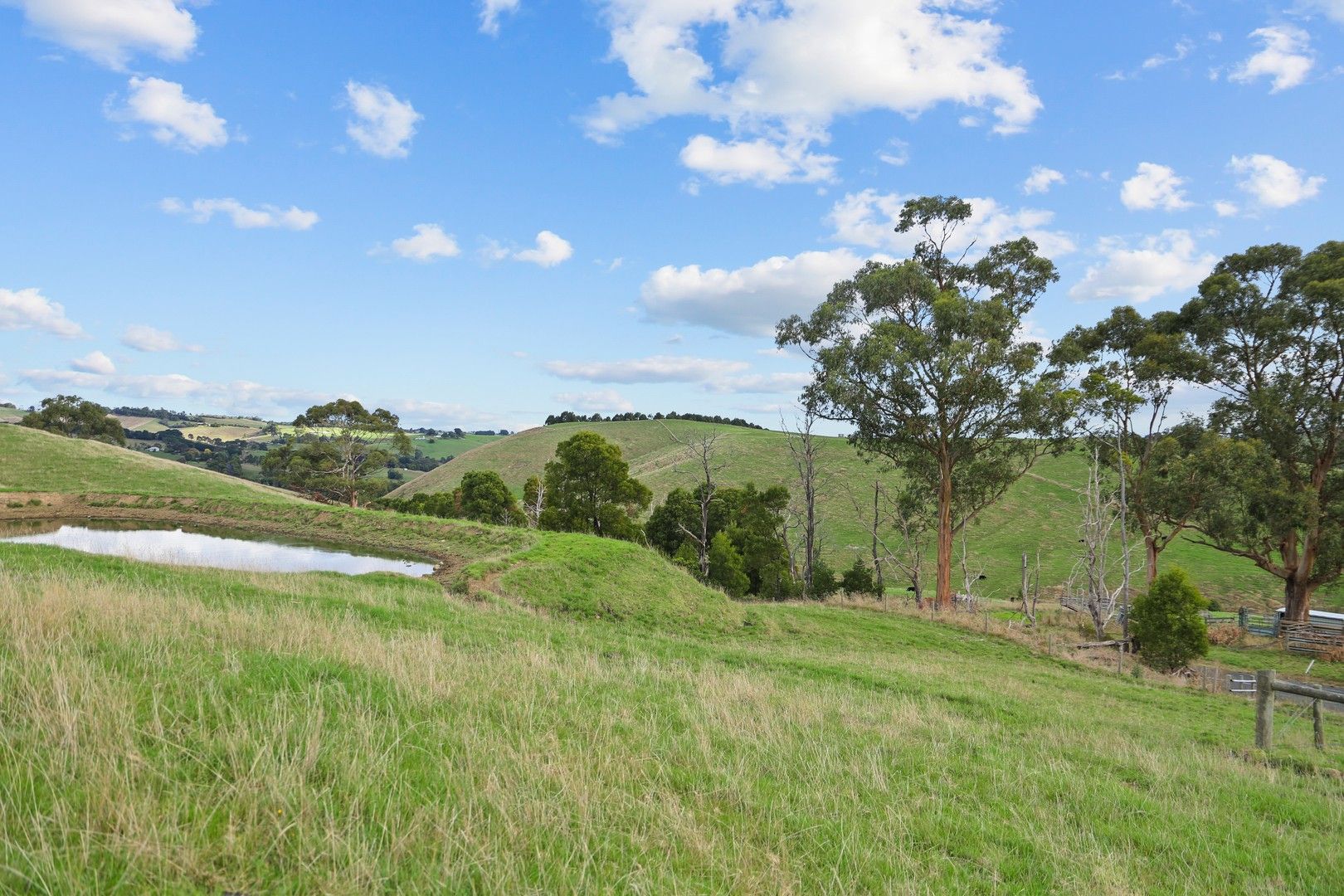 389 Andersons Inlet Road, Bena VIC 3946, Image 0